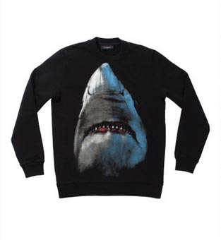 Previous Shark Graphic