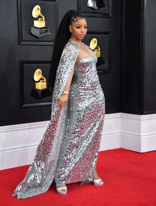 Grammy Awards 2022 Artists' Red Carpet Looks