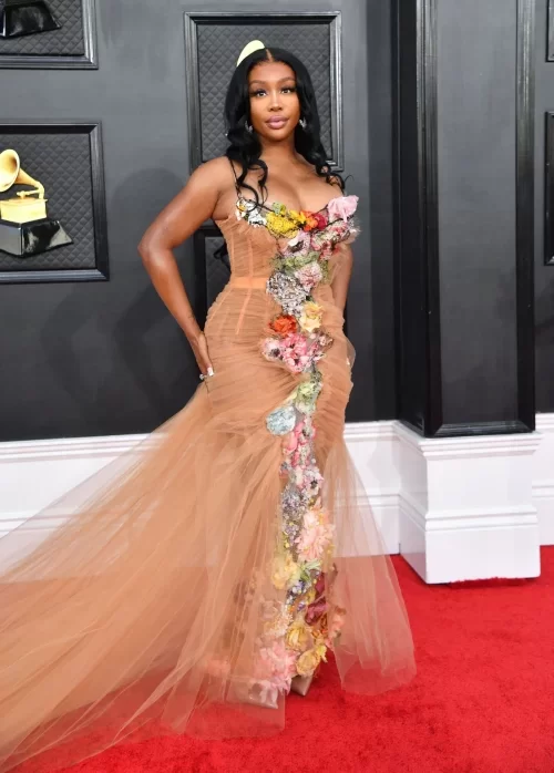 Grammy Awards 2022 Artists' Red Carpet Looks